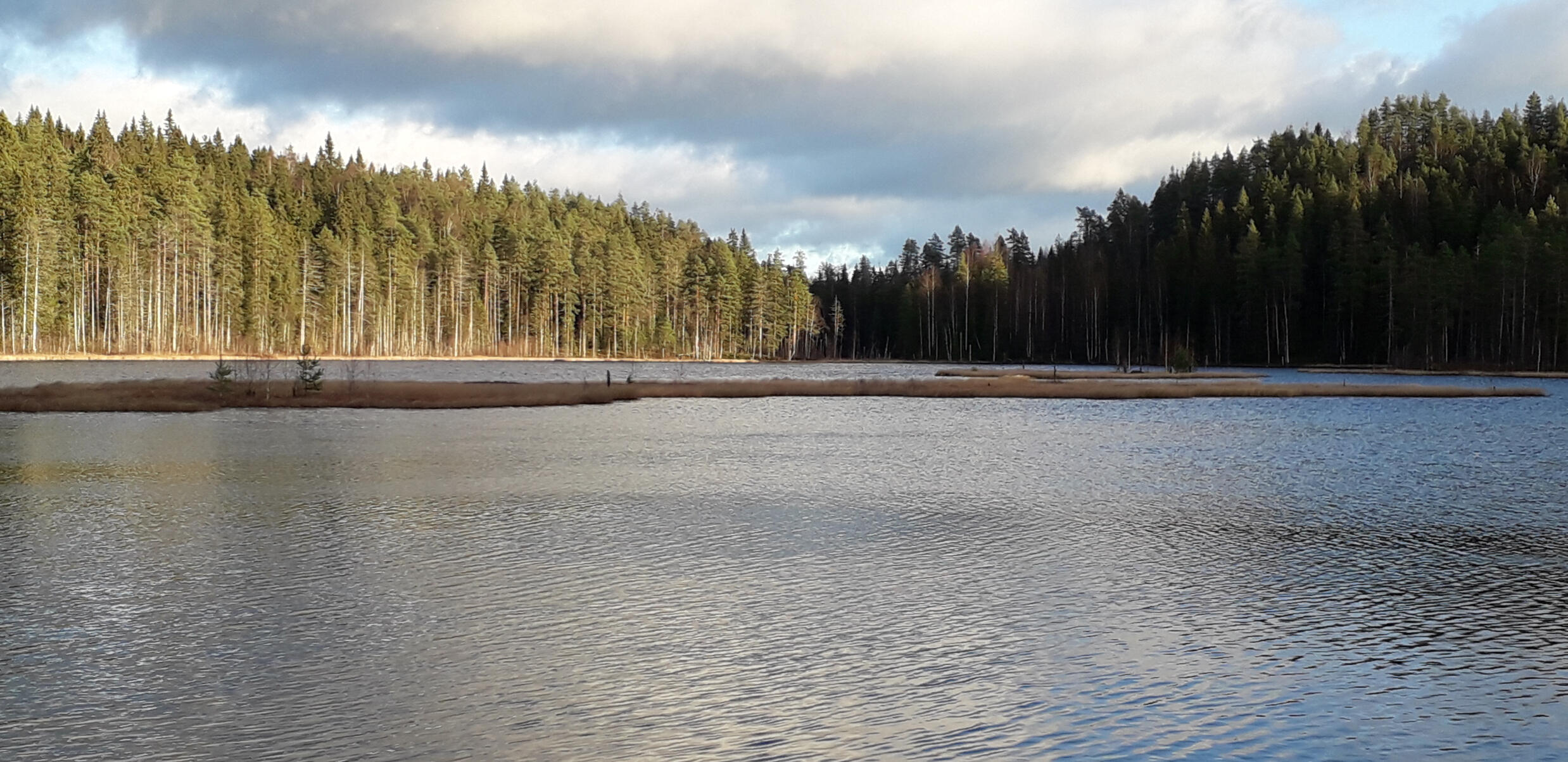 Maisema Saarijärven Kulhanvuorelta, Pieni-Musta -lammelta.